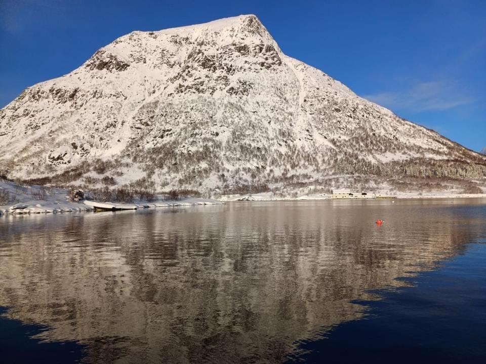 Hammerstad Camping Svolvær Exterior photo